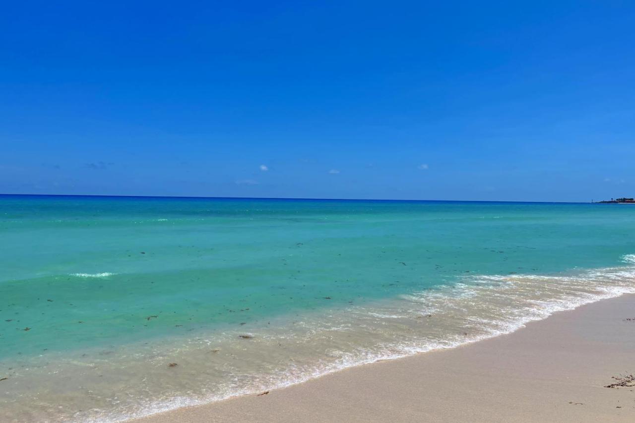 Renovated Studio In Cancun Beach At The Hotel Zone Екстер'єр фото